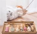 Woof & Meow Crinkle Cat Kicker Toy