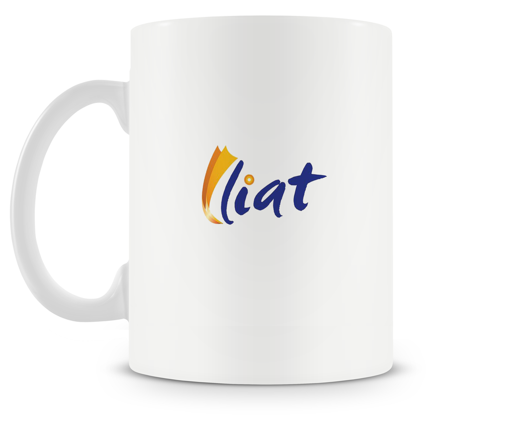 LIAT ATR 42 Mug or Tumbler