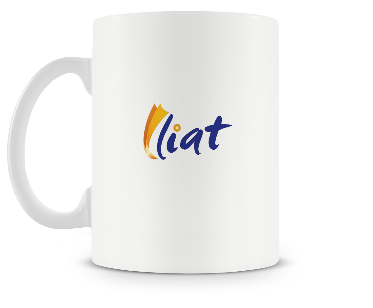 LIAT ATR 42 Mug or Tumbler